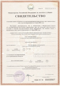 Свидетельство о регистрации юридического лица до 2002 года (регистрация 1999 года)